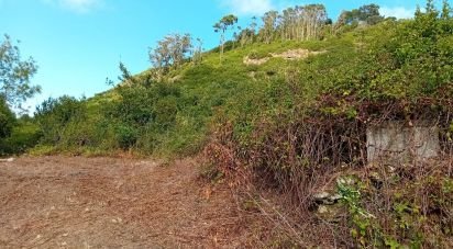 Terrain à Almargem do Bispo, Pêro Pinheiro e Montelavar de 2 720 m²