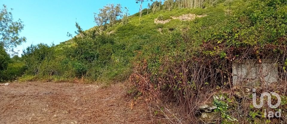 Terreno em Almargem do Bispo, Pêro Pinheiro e Montelavar de 2 720 m²