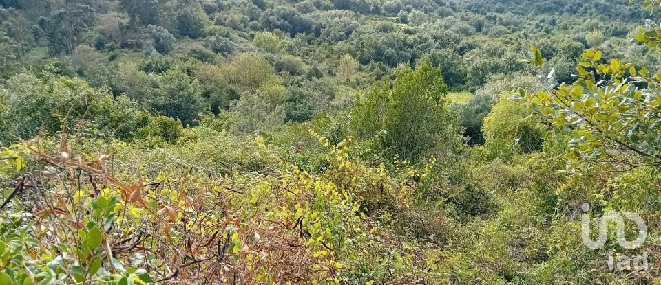 Terrain à Almargem do Bispo, Pêro Pinheiro e Montelavar de 2 720 m²