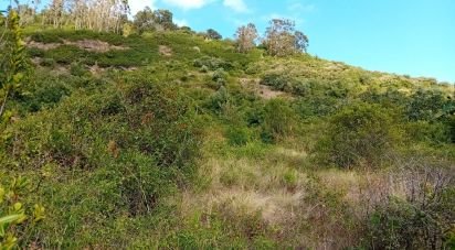 Terrain à Almargem do Bispo, Pêro Pinheiro e Montelavar de 2 720 m²