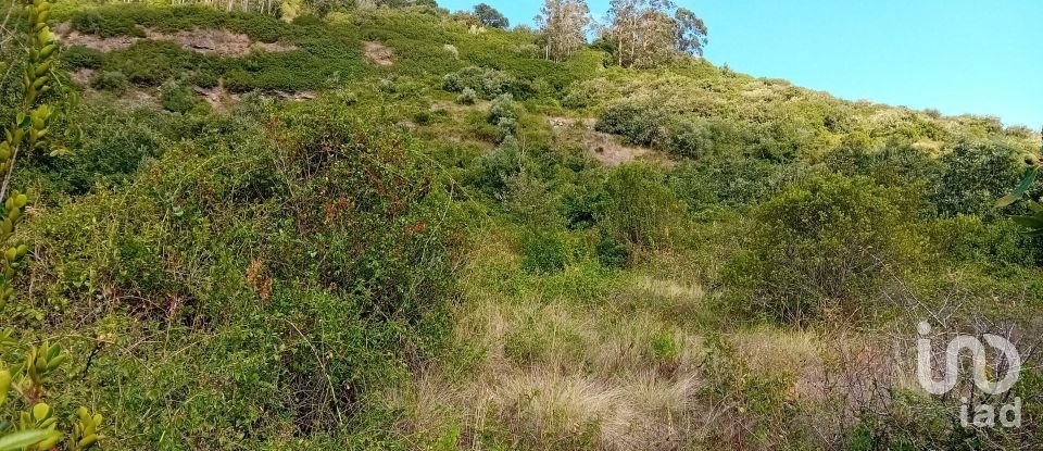 Terrain à Almargem do Bispo, Pêro Pinheiro e Montelavar de 2 720 m²