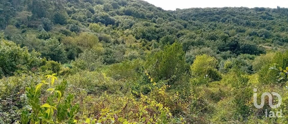 Terrain à Almargem do Bispo, Pêro Pinheiro e Montelavar de 2 720 m²