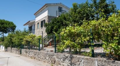 Gîte T5 à Covas e Vila Nova de Oliveirinha de 150 m²