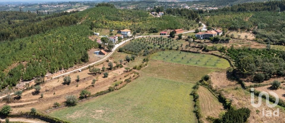 Gîte T5 à Covas e Vila Nova de Oliveirinha de 150 m²