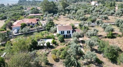 Traditional house T3 in São Miguel, Santa Eufémia e Rabaçal of 232 m²