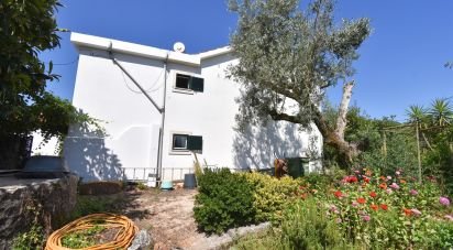 Traditional house T3 in São Miguel, Santa Eufémia e Rabaçal of 232 m²