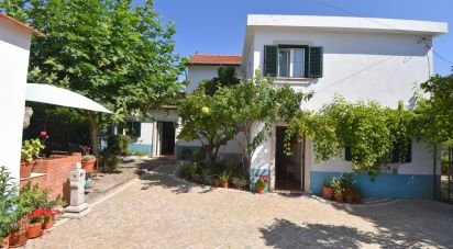 Traditional house T3 in São Miguel, Santa Eufémia e Rabaçal of 232 m²