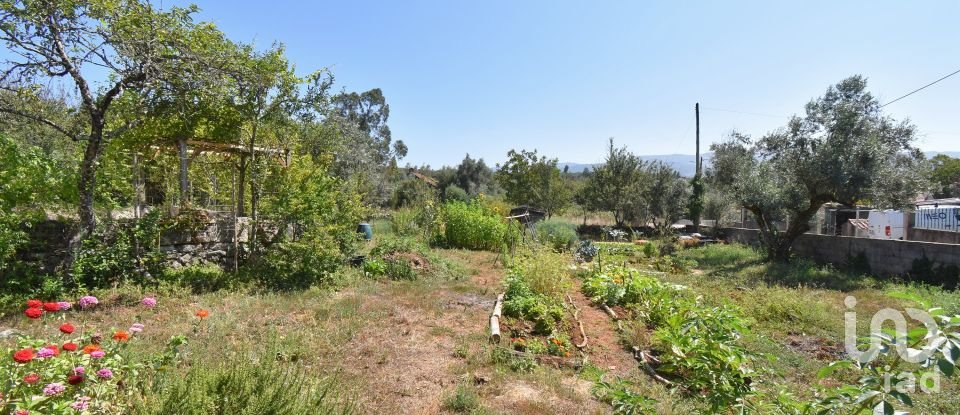 Maison traditionnelle T3 à São Miguel, Santa Eufémia e Rabaçal de 232 m²