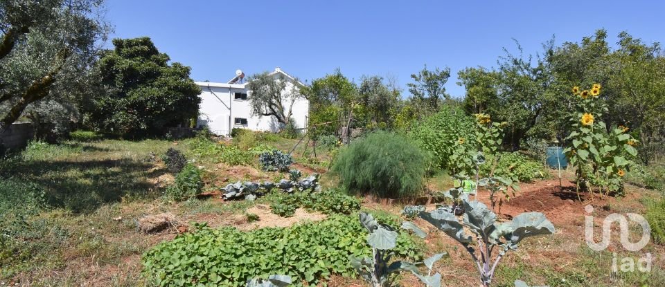 Traditional house T3 in São Miguel, Santa Eufémia e Rabaçal of 232 m²