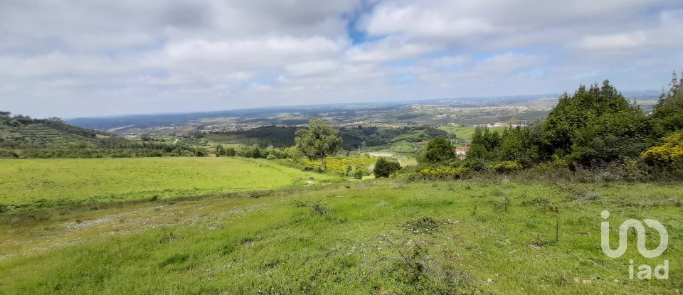 Terreno em Lamas e Cercal de 22 000 m²