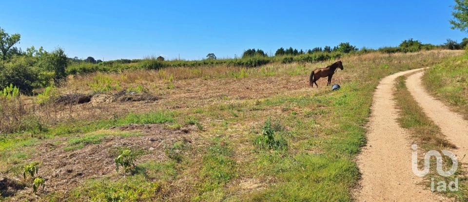 Casa de Campo T1 em Lamas e Cercal de 110 m²