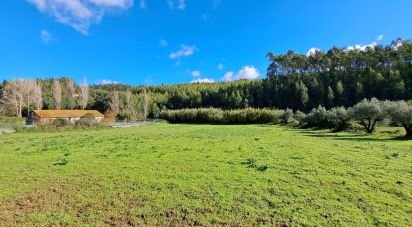 Terreno em Rio Maior de 4 500 m²