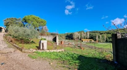 Terreno em Rio Maior de 4 500 m²