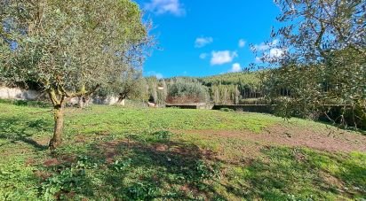 Land in Rio Maior of 4,500 m²