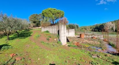 Land in Rio Maior of 4,500 m²