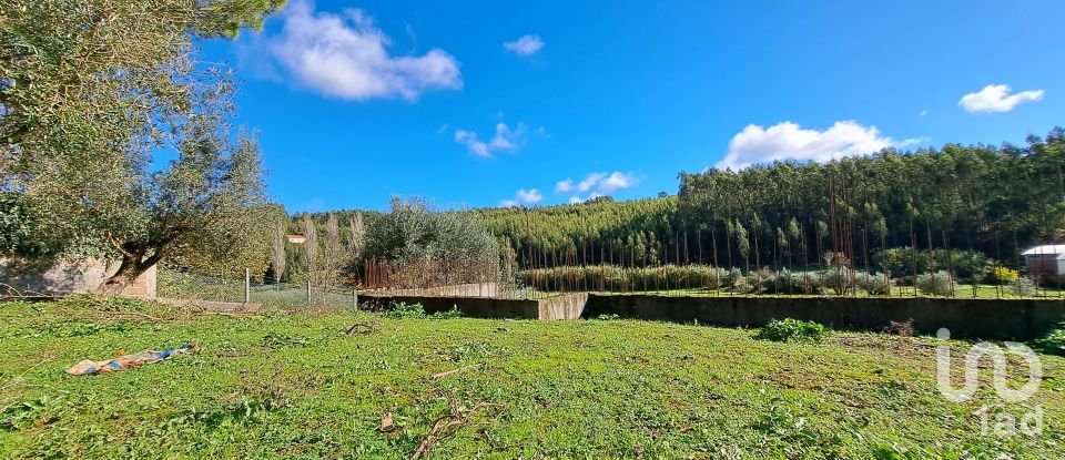 Terreno em Rio Maior de 4 500 m²