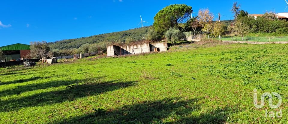 Terreno em Rio Maior de 4 500 m²