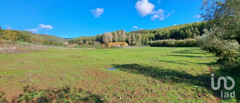 Terreno em Rio Maior de 4 500 m²