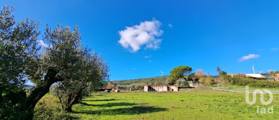 Terreno em Rio Maior de 4 500 m²