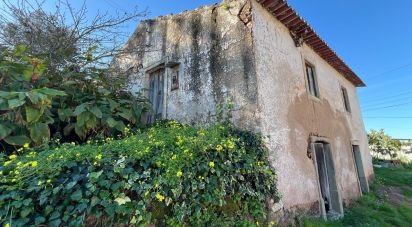 Casa / Villa T0 em Eiras E São Paulo De Frades de 80 m²