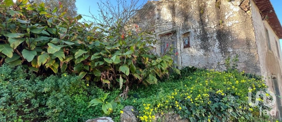 Casa / Villa T0 em Eiras E São Paulo De Frades de 80 m²