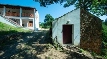 Farm T2 in Mouronho of 303 m²