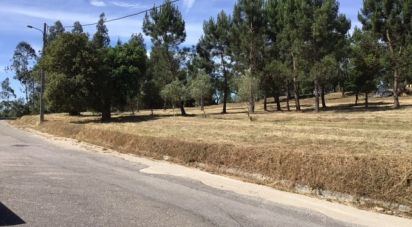 Building land in Alfarelos of 4,017 m²