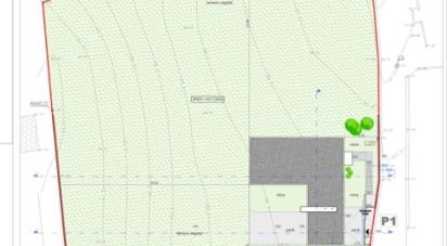 Terreno para construção em Alfarelos de 4 017 m²