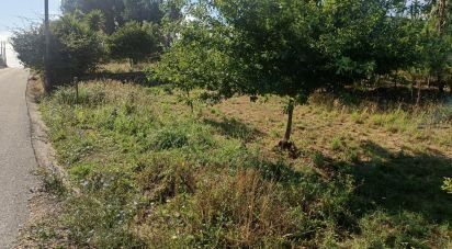 Land in Graça of 893 m²