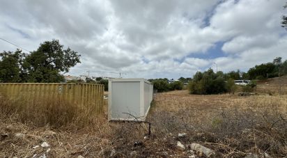 Terreno para construção em Tavira (Santa Maria e Santiago) de 6 000 m²