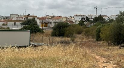 Terreno para construção em Santa Catarina da Fonte do Bispo de 6 000 m²