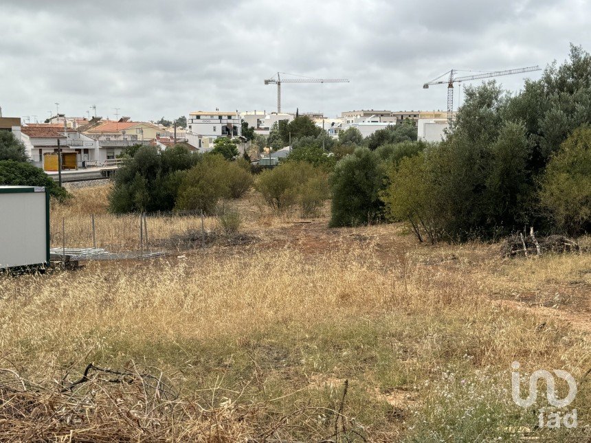 Terreno para construção em Santa Catarina da Fonte do Bispo de 6 000 m²