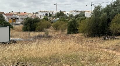 Terreno para construção em Santa Catarina da Fonte do Bispo de 6 000 m²