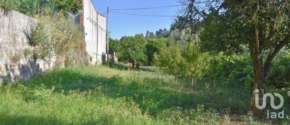 Maison traditionnelle T3 à Semide e Rio Vide de 174 m²