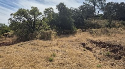 Building land in Querença, Tôr e Benafim of 7,880 m²