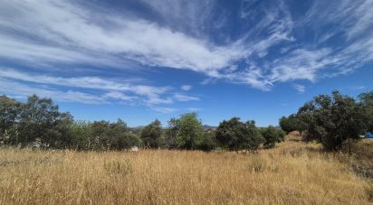 Terreno para construção em Querença, Tôr e Benafim de 7 880 m²