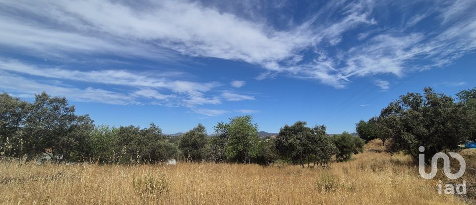 Building land in Querença, Tôr e Benafim of 7,880 m²