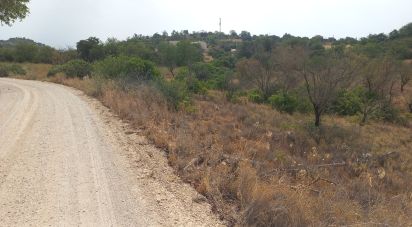 Terreno em Loulé (São Sebastião) de 3 988 m²