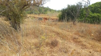 Terreno em Loulé (São Sebastião) de 3 988 m²