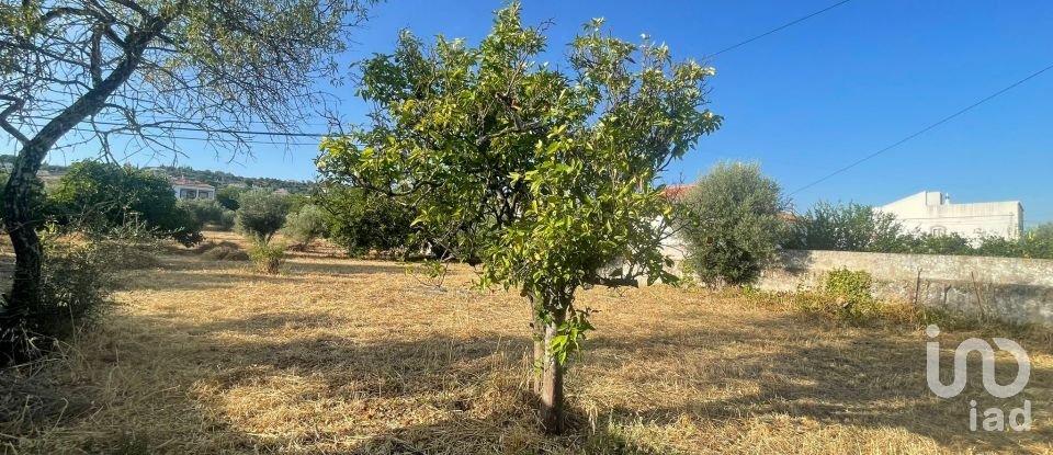 Maison T2 à São Brás de Alportel de 130 m²