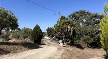 Maison traditionnelle T2 à Abitureiras de 80 m²