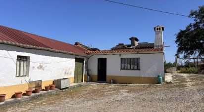 Traditional house T2 in Abitureiras of 80 m²