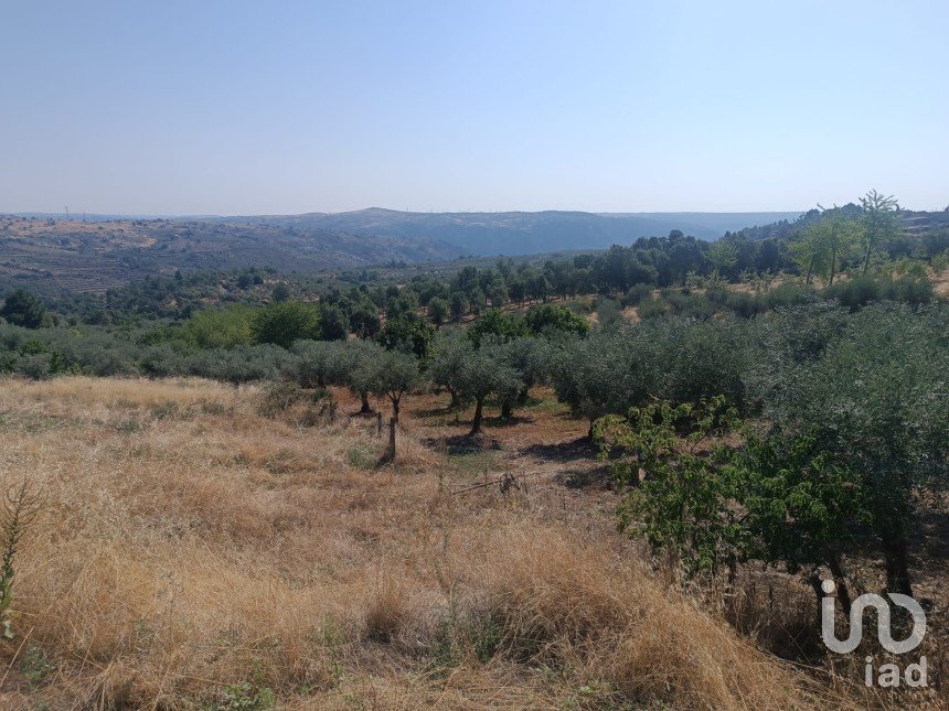 Terrain à Lagoaça e Fornos de 3 500 m²