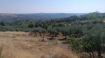 Terreno em Lagoaça e Fornos de 3 500 m²