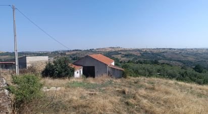 Terreno em Lagoaça e Fornos de 3 500 m²