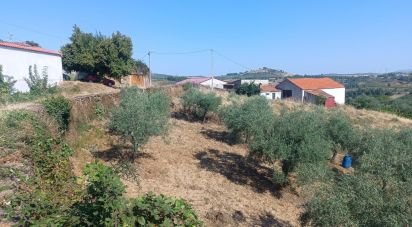 Terreno em Lagoaça e Fornos de 3 500 m²