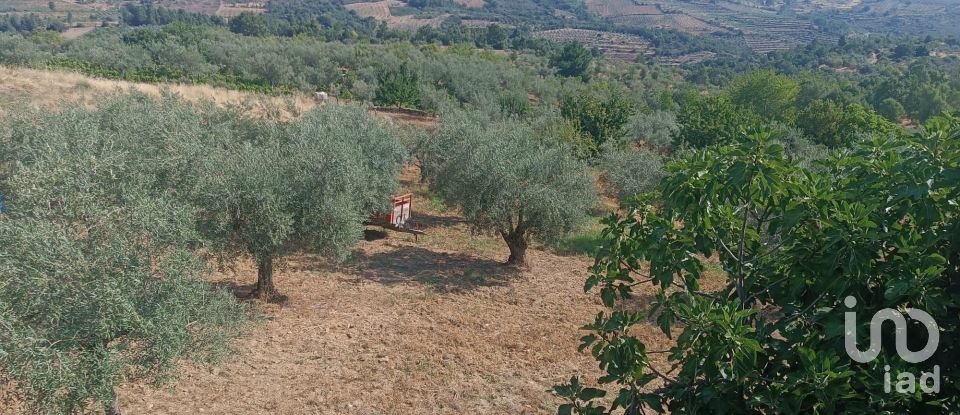 Terreno em Lagoaça e Fornos de 3 500 m²