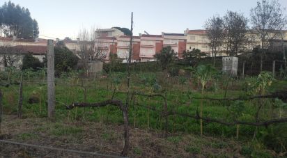 Terreno para construção em Selho (são jorge) de 1 450 m²