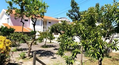 Casa T4 em Darque de 250 m²