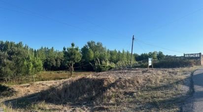 Land in Monte Real e Carvide of 496 m²